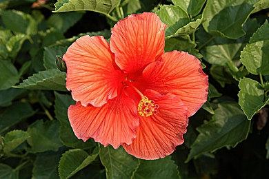 《无人深空》持续为开发商带来上亿元利润 让人惊讶！